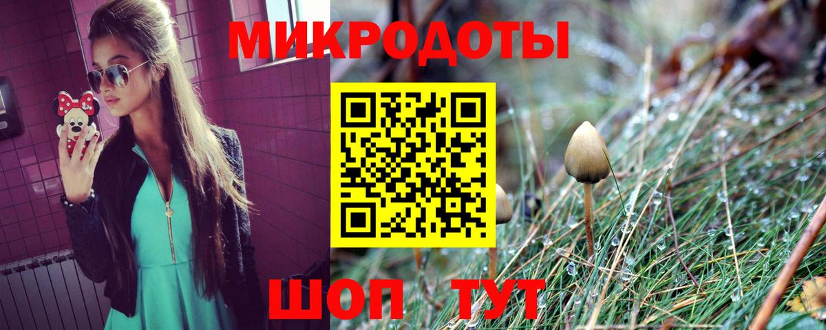 Псилоцибиновые грибы Psilocybine cubensis  Галлюциногенные грибы прущие грибы  Норильск  где продают наркотики  Вход с VPN 